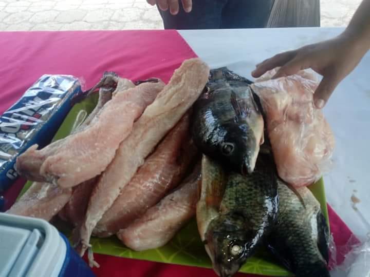 Maricos1